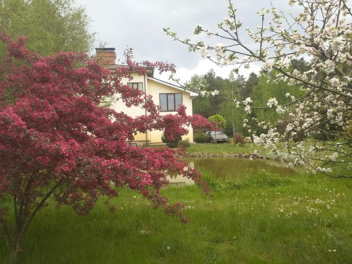 Guest House Pechersky & Sons Dreilini (Stopini) Exterior foto
