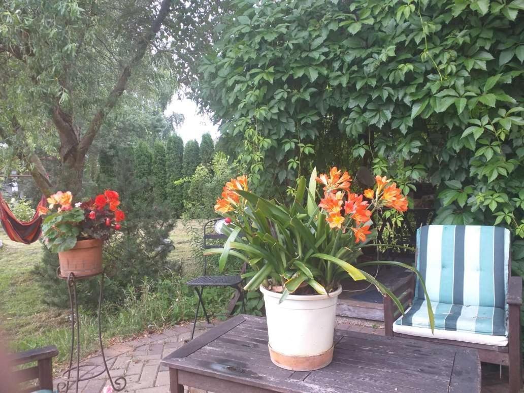Guest House Pechersky & Sons Dreilini (Stopini) Exterior foto