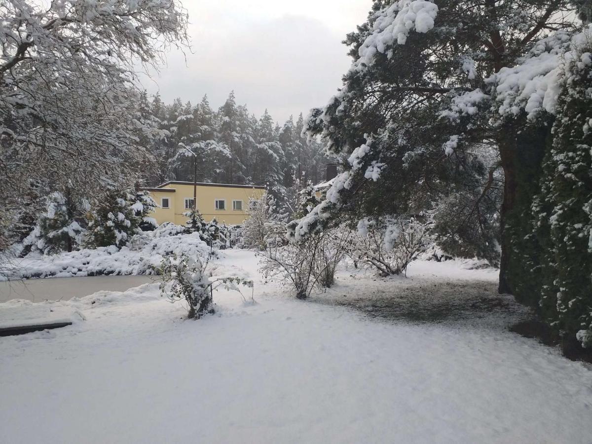 Guest House Pechersky & Sons Dreilini (Stopini) Exterior foto