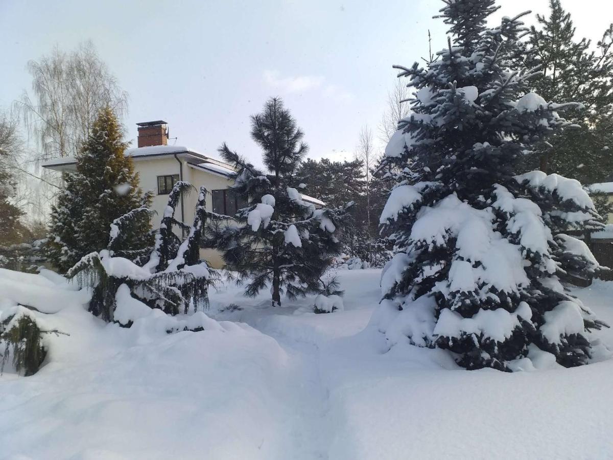 Guest House Pechersky & Sons Dreilini (Stopini) Exterior foto