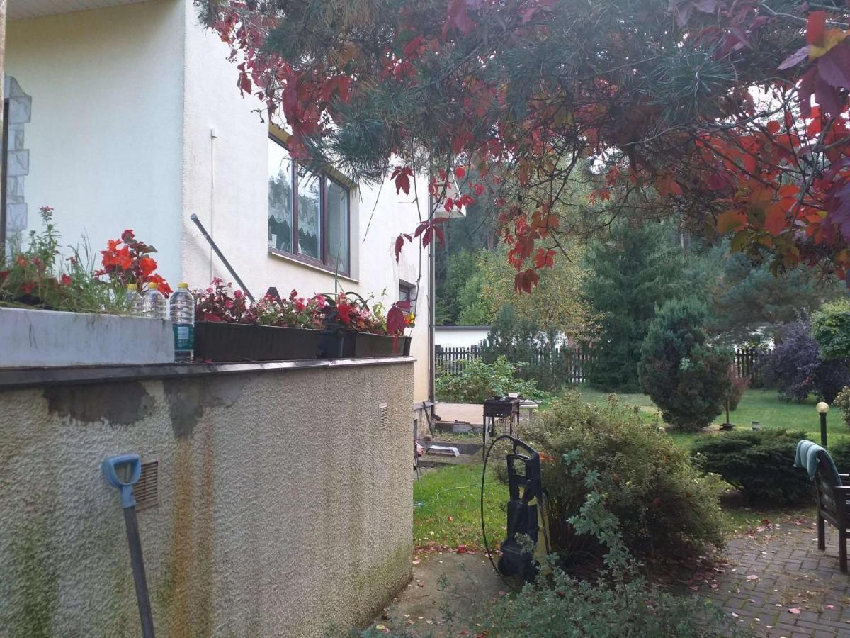 Guest House Pechersky & Sons Dreilini (Stopini) Exterior foto