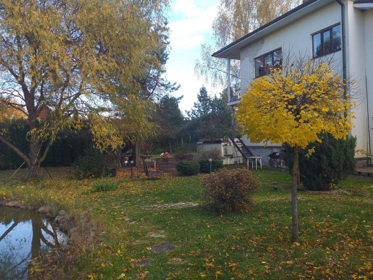 Guest House Pechersky & Sons Dreilini (Stopini) Exterior foto